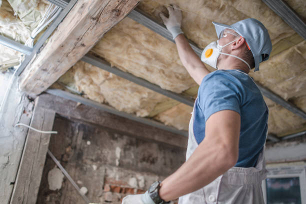 Best Spray Foam Insulation  in Little Elm, TX