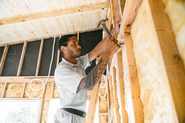Best Spray Foam Insulation  in Little Elm, TX