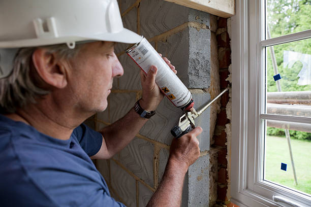 Best Spray Foam Insulation  in Little Elm, TX