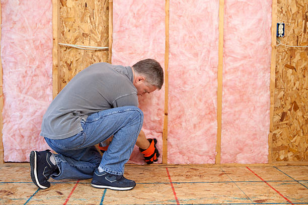 Best Best Insulation Companies  in Little Elm, TX