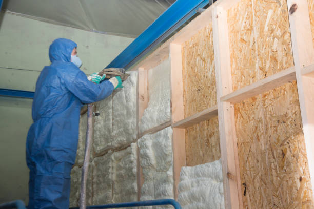 Best Home Insulation Services  in Little Elm, TX