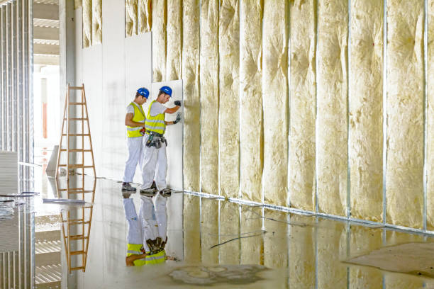 Best Home Insulation Services  in Little Elm, TX